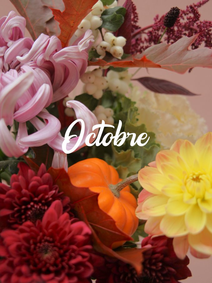 Fleurs d'octobre